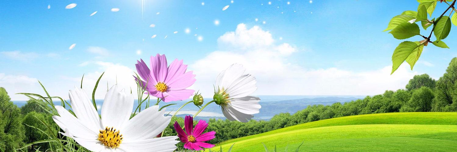 Fleur Telecom banner