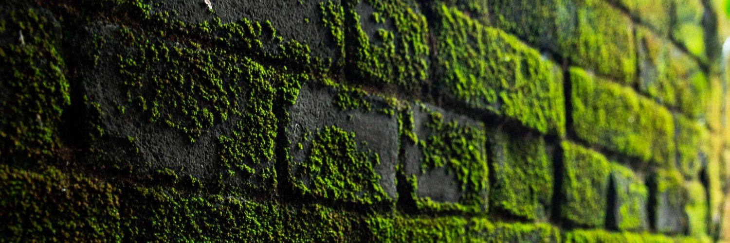 Crescent_Sheath's profile banner image