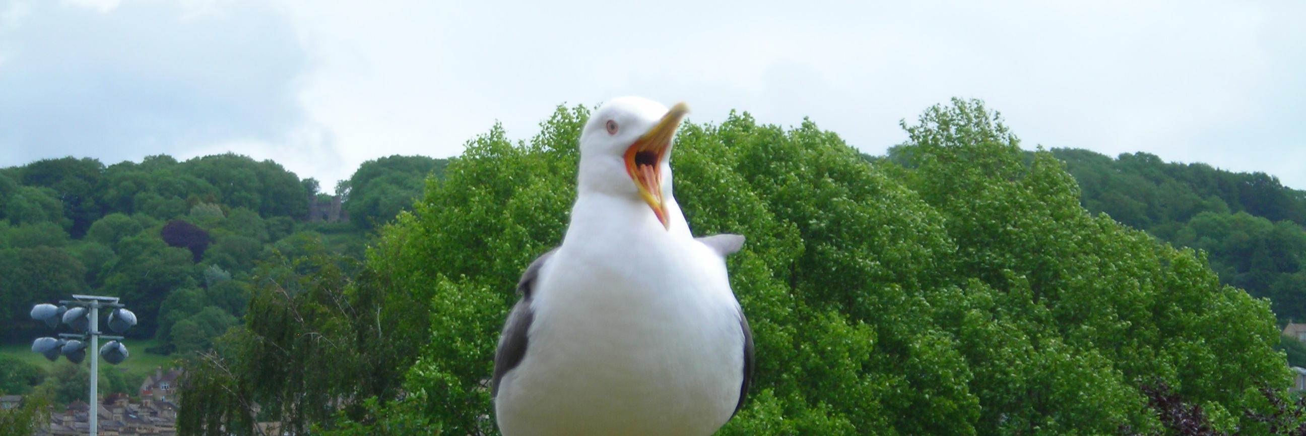 dunnuungi's profile banner image