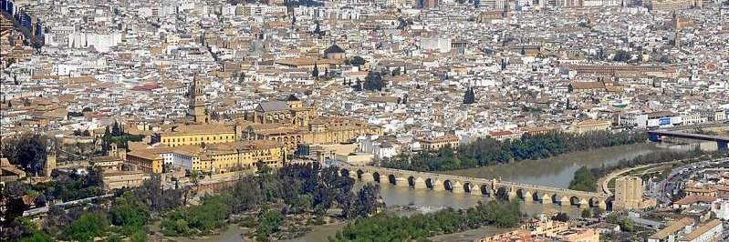 perilla72's profile banner image