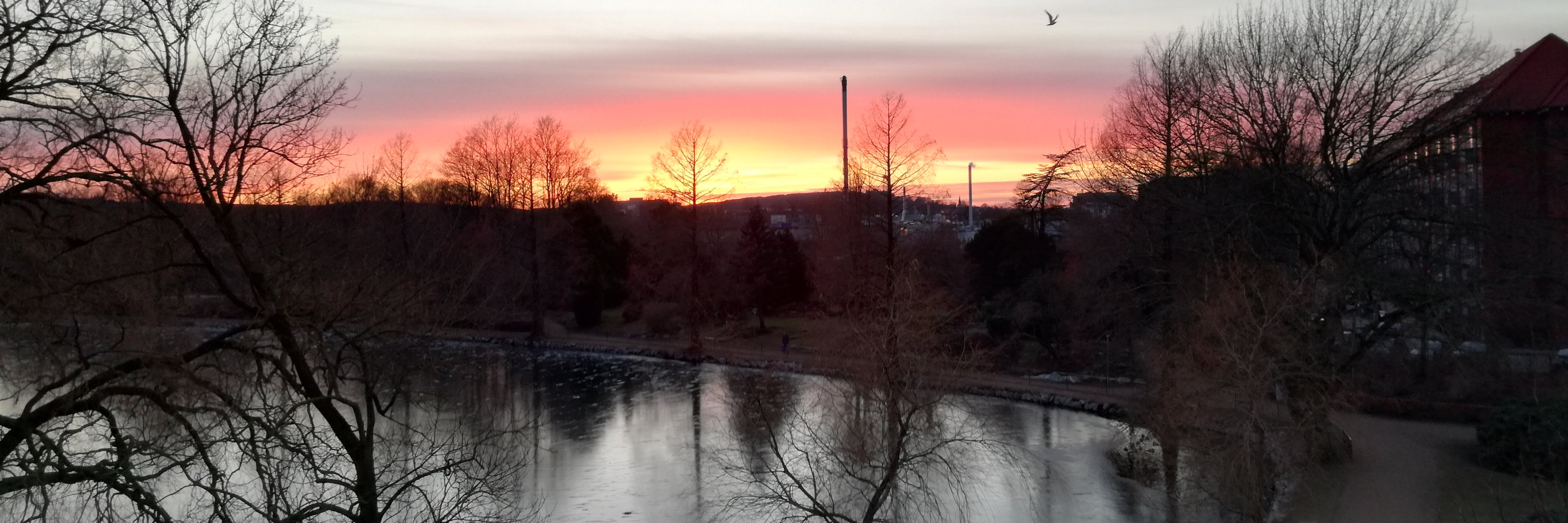 cstubbel's profile banner image