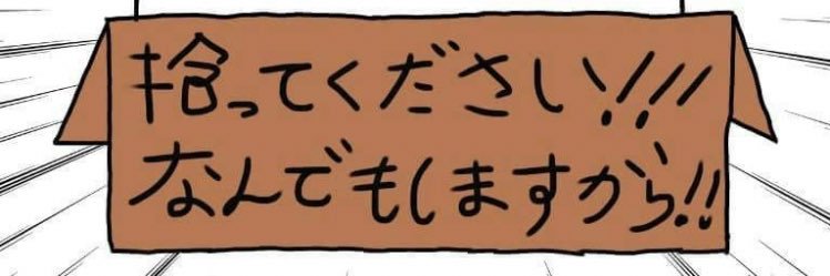 MAMchannnn's profile banner image