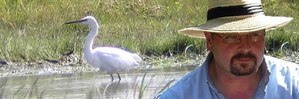 English birder in France banner