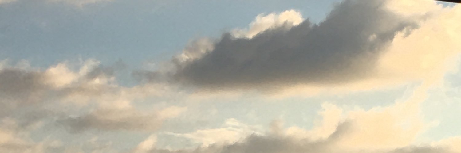 nikonon25's profile banner image