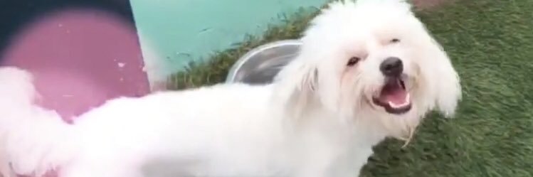 cmilzzz's profile banner image