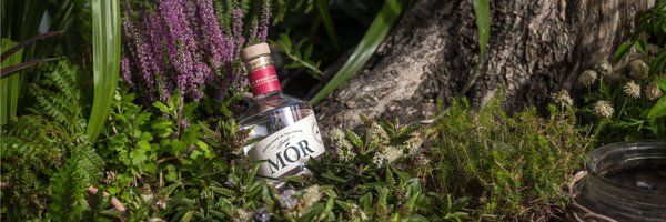 MorIrishgin Profile Banner