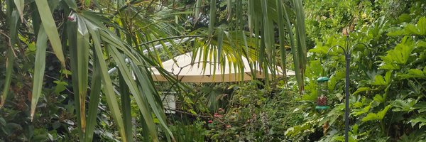 rjoyce533 Profile Banner