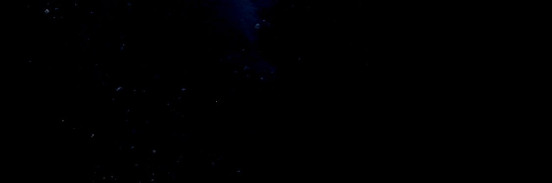 platanus_R's profile banner image