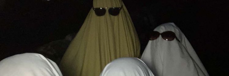 mehhrodillo's profile banner image