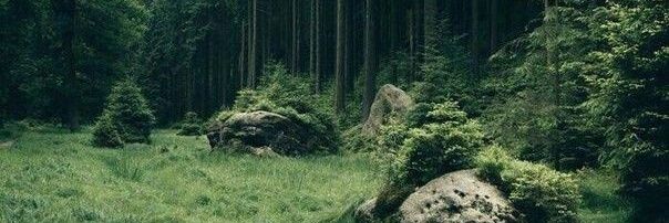 Hiba💕 banner