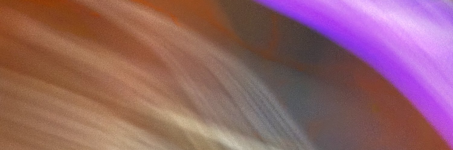 _nellfnd's profile banner image