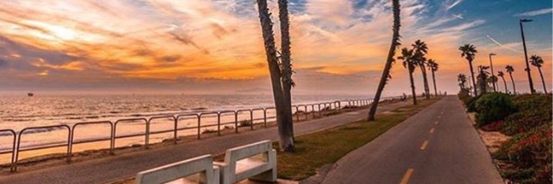 sneauxbird's profile banner image