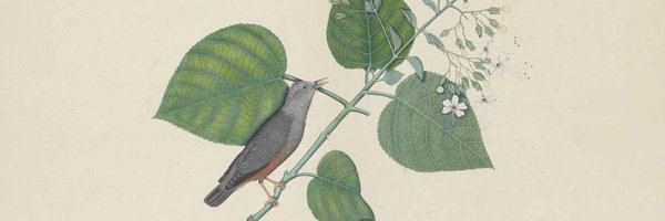 chitabds Profile Banner