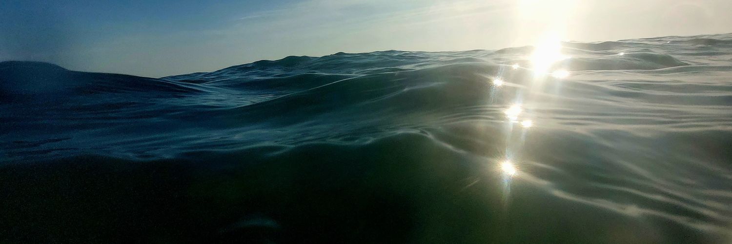 David Chapelle banner