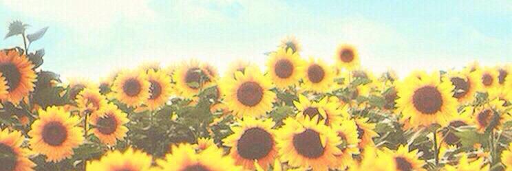 ___ngs__rn's profile banner image