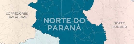 Paulo Volpi banner
