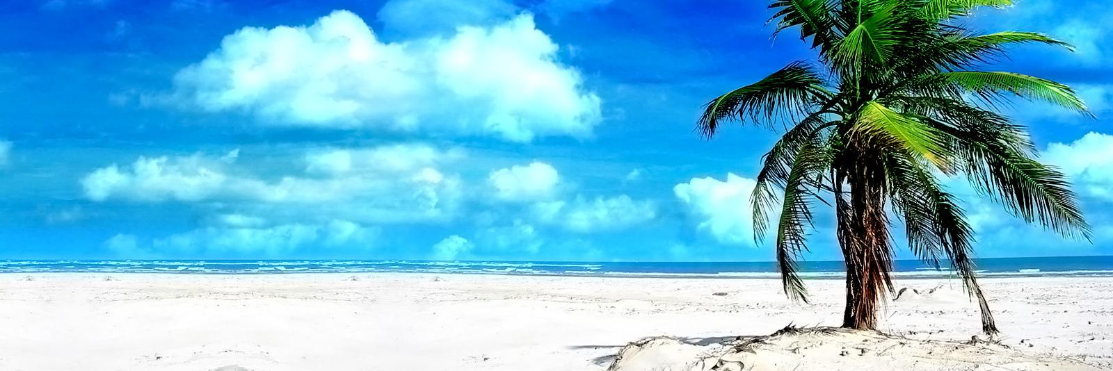mitmit1712's profile banner image