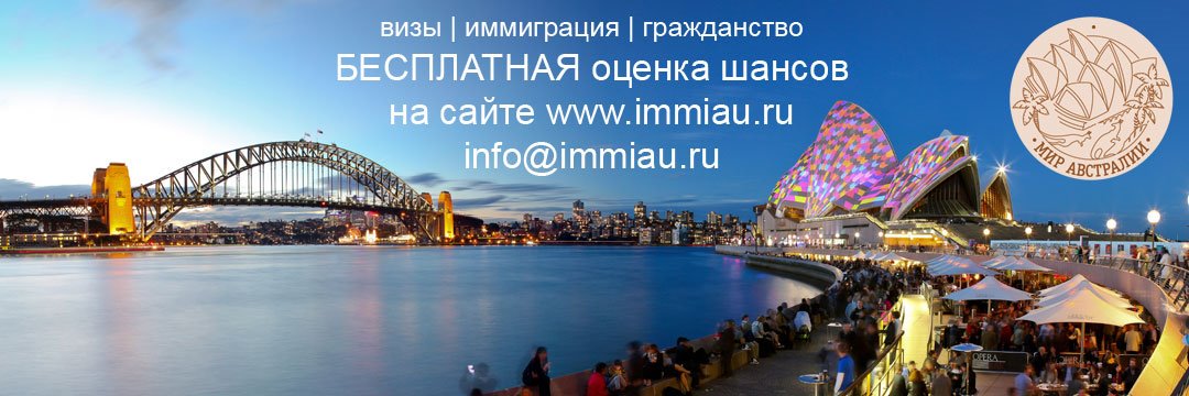 immiau's profile banner image