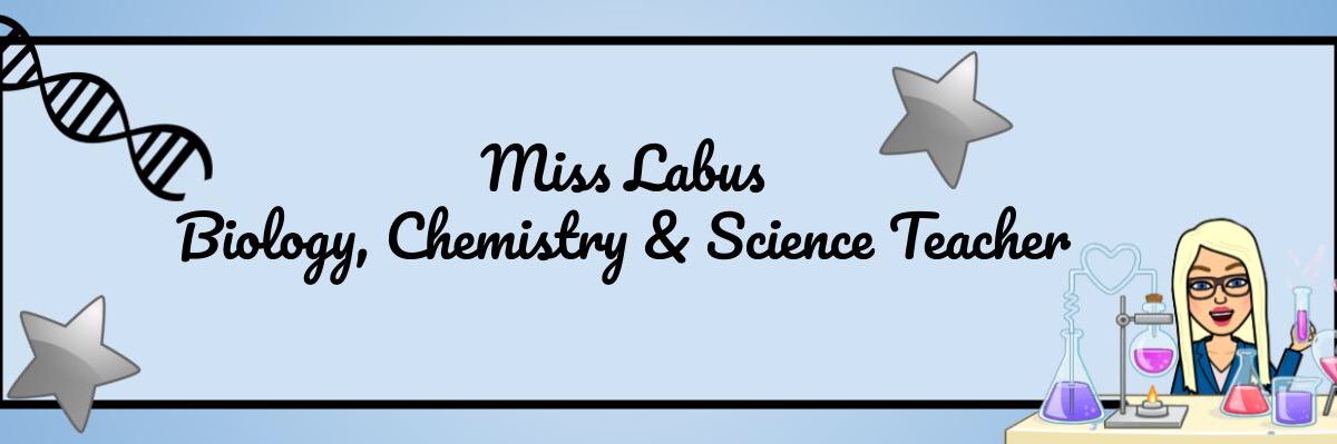 Miss Labus banner