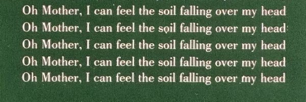 baja__blasted__ Profile Banner