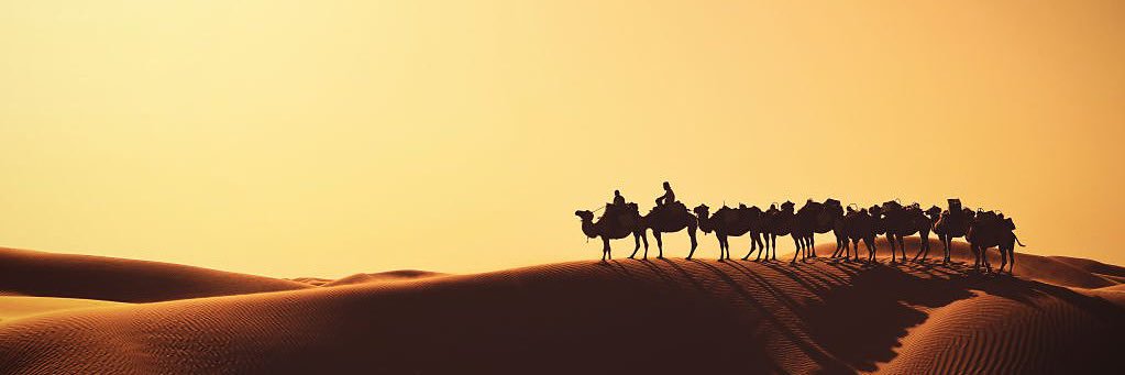 6saud6's profile banner image