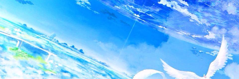 m95508305's profile banner image