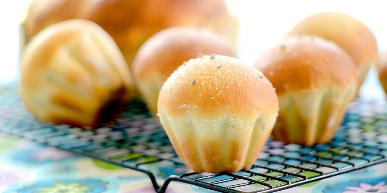 Yasmin Limbert banner