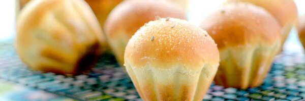 YasminLimbert Profile Banner