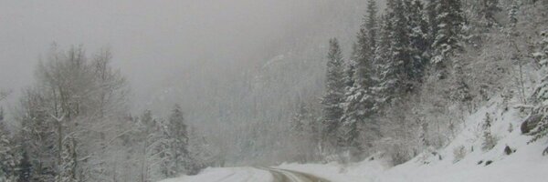 gejohnson411 Profile Banner