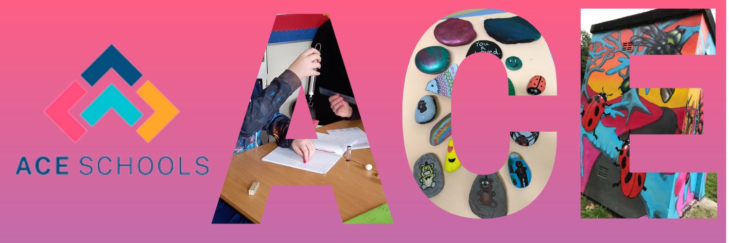 ACE Schools banner