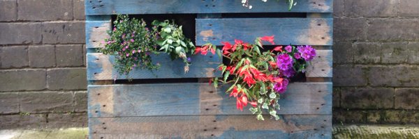 EmmaHalliday1 Profile Banner