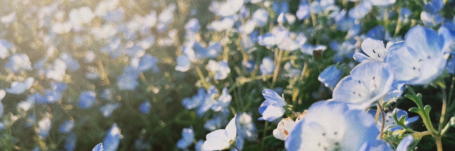 yuuu8147's profile banner image