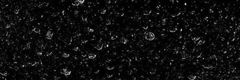 yangtyi's profile banner image