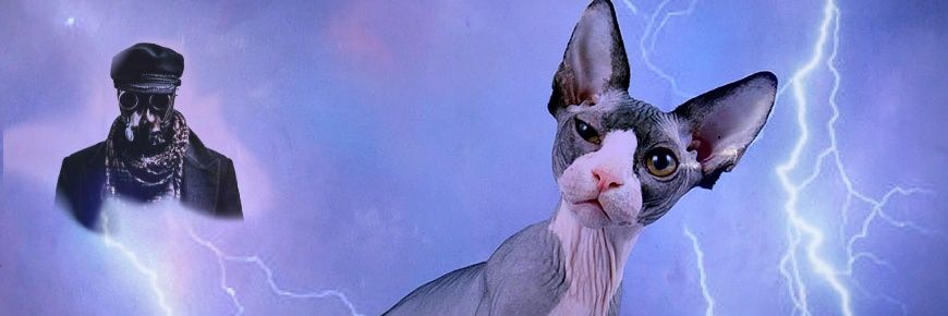 stas_swanson's profile banner image