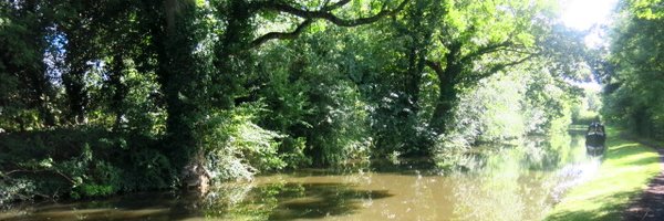 dripavatar Profile Banner