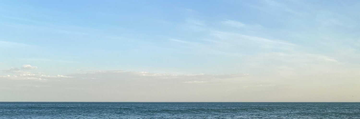 soffvg_'s profile banner image