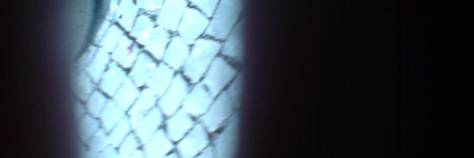 crabarr's profile banner image