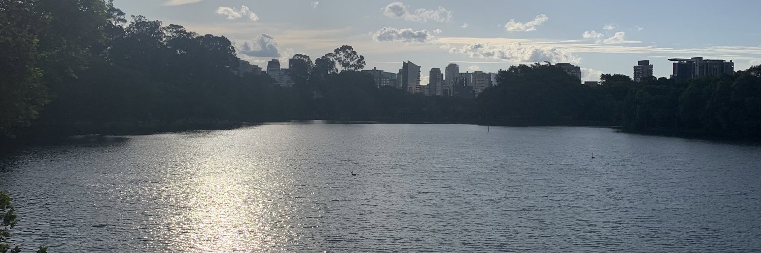 AntoneliMatheus's profile banner image
