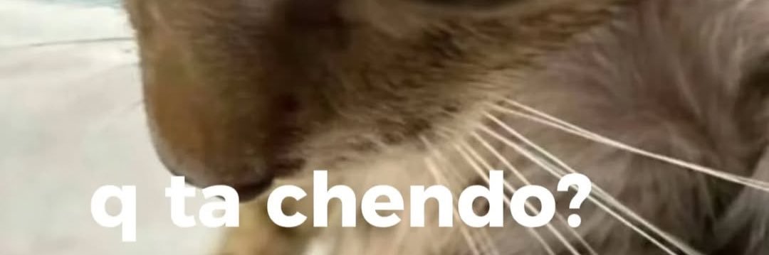 cjoly_'s profile banner image