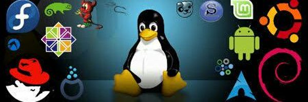 codewithzx Profile Banner