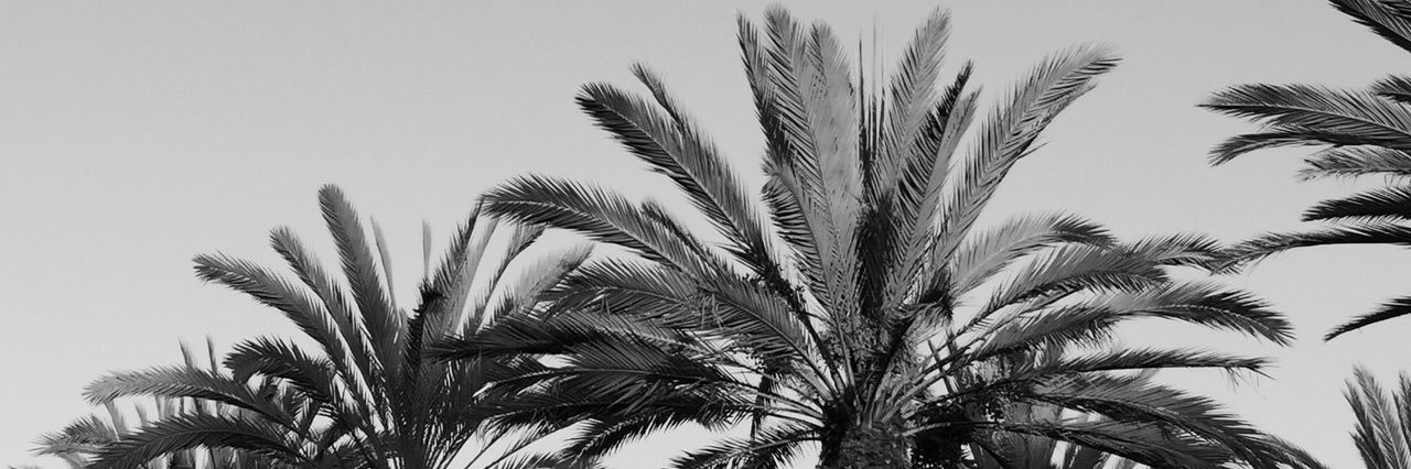 onlyfactsnottea's profile banner image