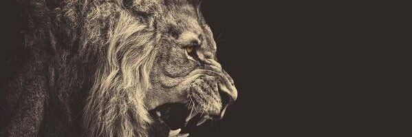 b_baiseee's profile banner image