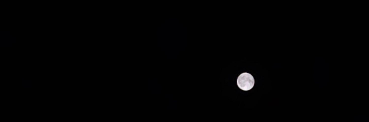 ellysrain's profile banner image