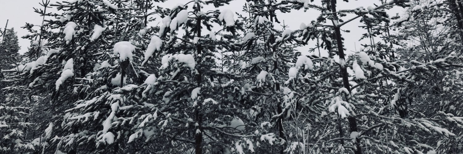 caltotto's profile banner image