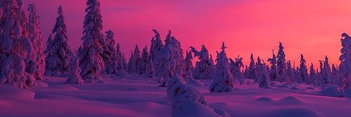 Mohamad Rifay banner