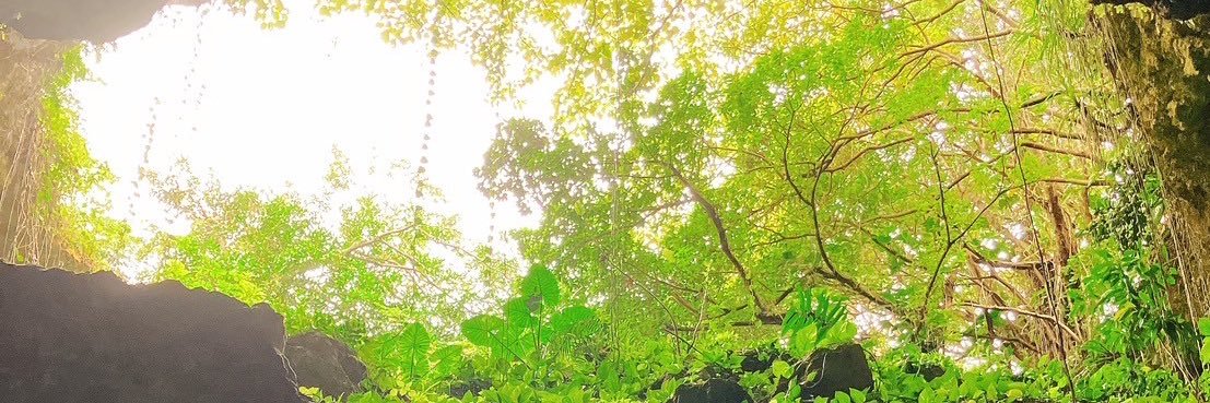 sabrinamikity's profile banner image