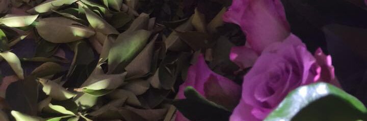 mh_____o's profile banner image