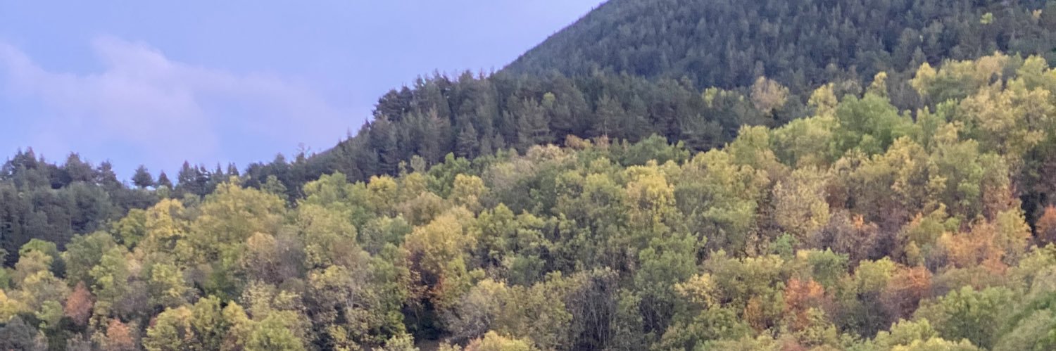 erikvaze's profile banner image