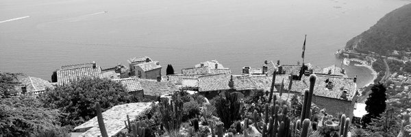 larnsce Profile Banner