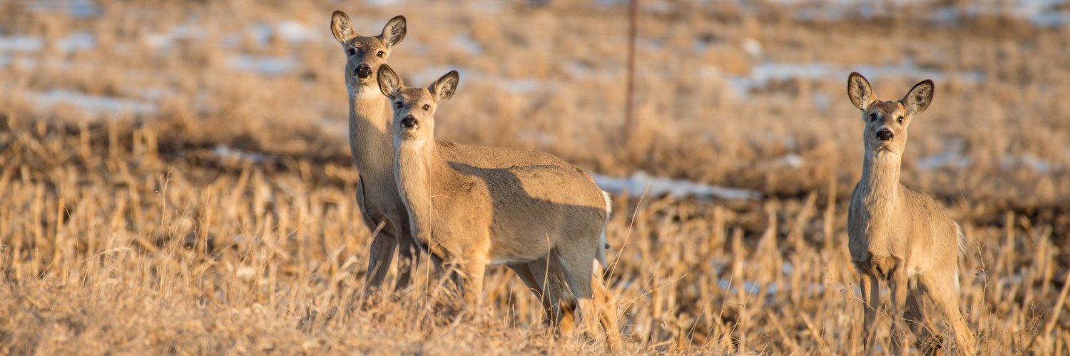 Rajendra Pokharel banner